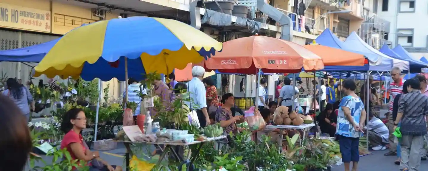 Malaysia The Jungles of Borneo-1